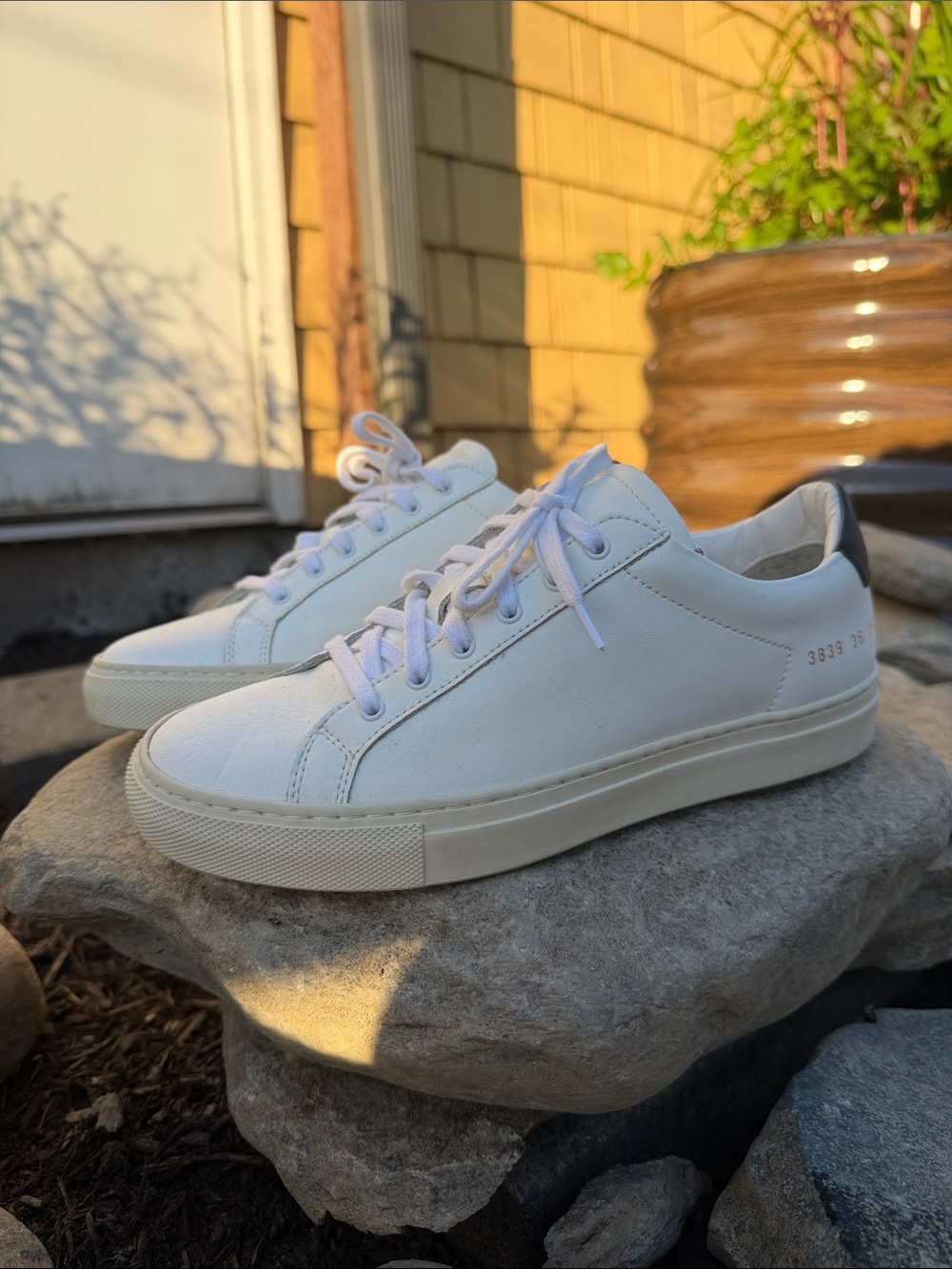Common Projects Woman Achilles Low White Leather Sneakers EU 36 Made Italy
